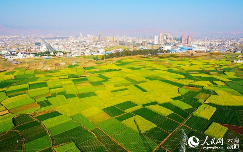 云南宾川:初春大地宛如天然调色板