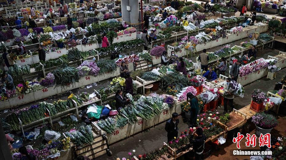 昆明斗南花卉市场交易回暖