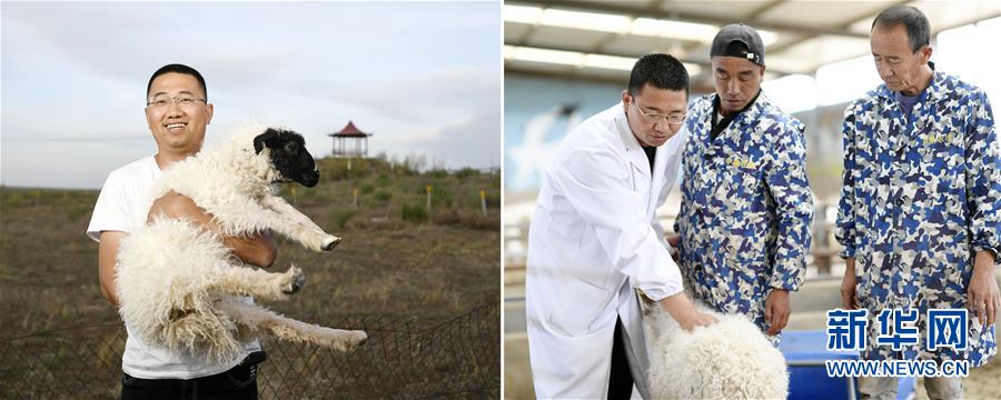 （迎接两会）（1）创业催征鼓 小康奋斗成