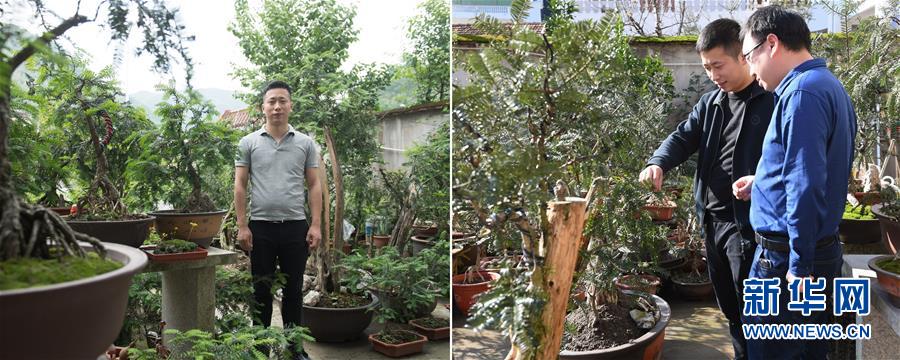 （迎接两会）（6）创业催征鼓 小康奋斗成