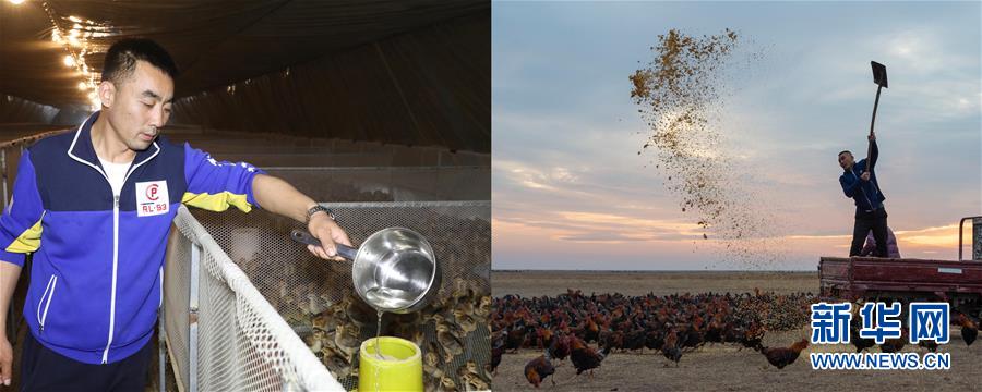 （迎接两会）（3）创业催征鼓 小康奋斗成