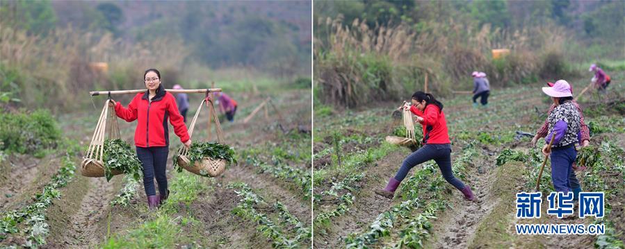 （迎接两会）（4）创业催征鼓 小康奋斗成
