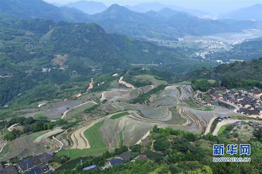 (环境)(2)福建政和:保护农业生态资源 展现梯田独特景观 (环境)(2)福建政和:保护农业生态资源 展现梯田独特景观