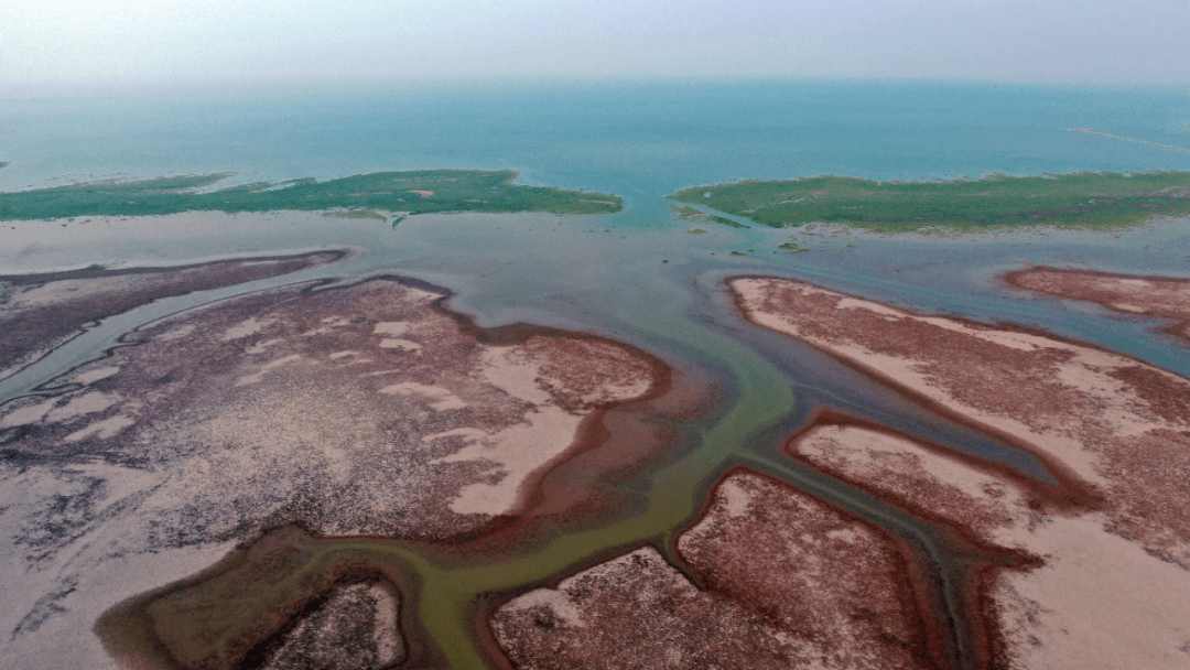 黄河入海流你可知道每年造出多少土地