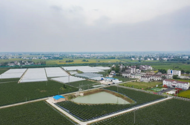 如今的黄汰村,已经是全市脱贫的先进村。陈若天摄