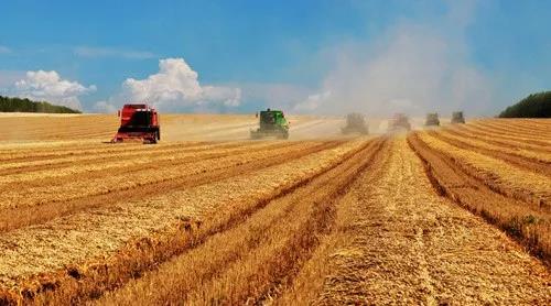 侠客岛：新年开工首日，“宣言”再度出炉的深