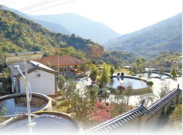 海归小伙 山里驯鱼