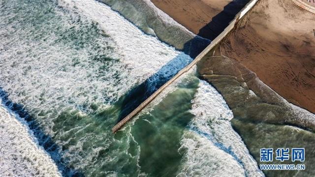 海外网评：100英里的“特朗普墙”，注定是摆设