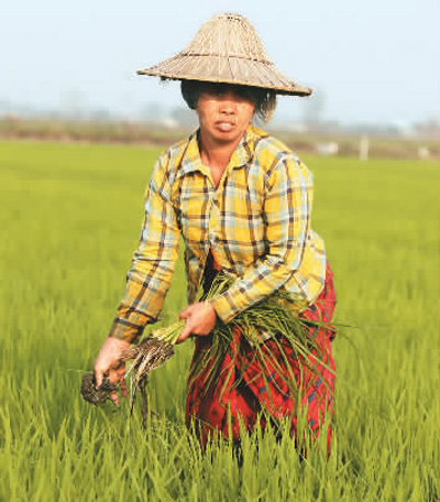 友善的佛教之国