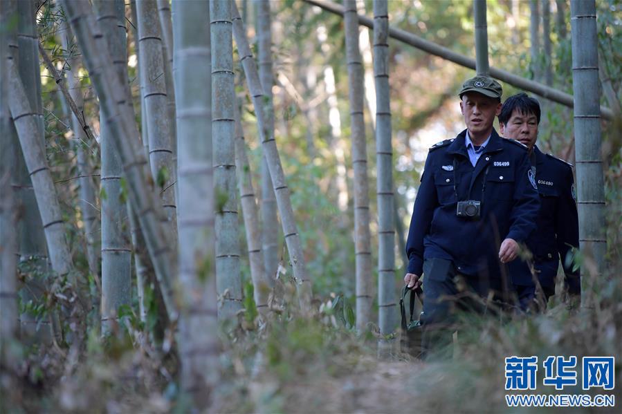 （新春走基层·图文互动）（1）一座山，一辈子——走进赣江源