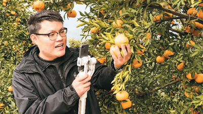 网购“年货节”来了！