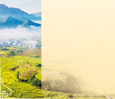 乡村，大好年景