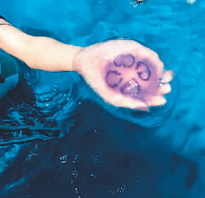 埃及，不只有金字塔