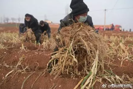 1581089768848603.png image.png