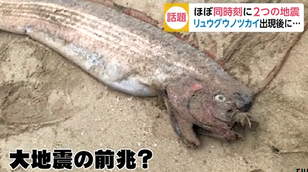 1581646777118442.png QQ截图20200214094311.png