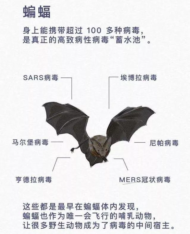 1581757473355794.png 640.640 (5).png