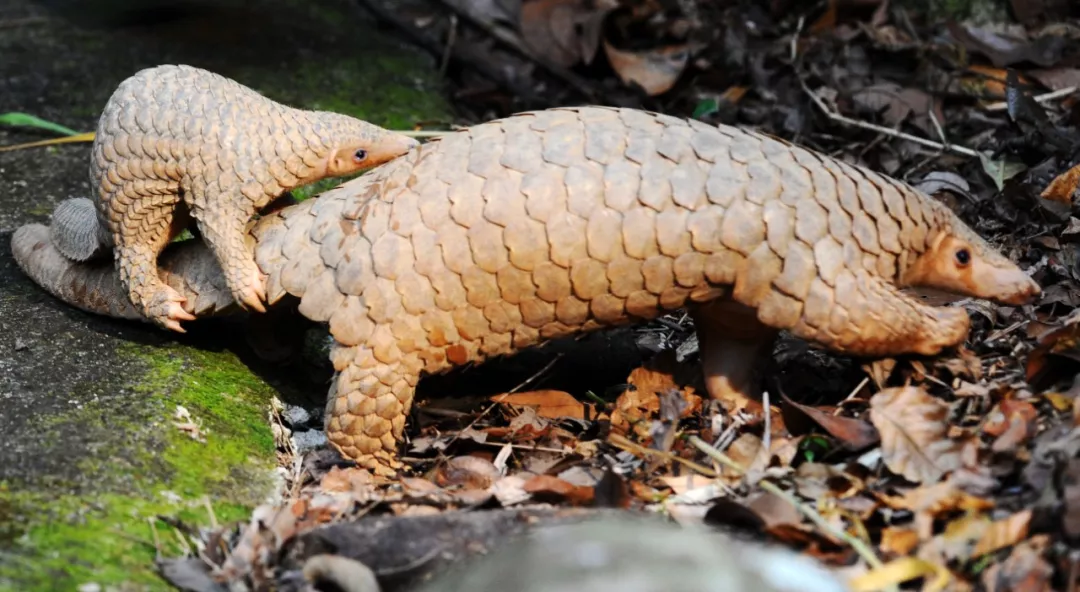 1581757481679070.png 1581757481679070.png