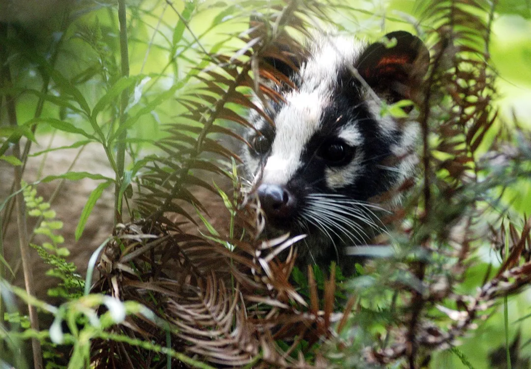 1581757522860449.png 1581757522860449.png