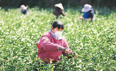 坚定信心迎“大考” 如期脱贫，咱肯定能！