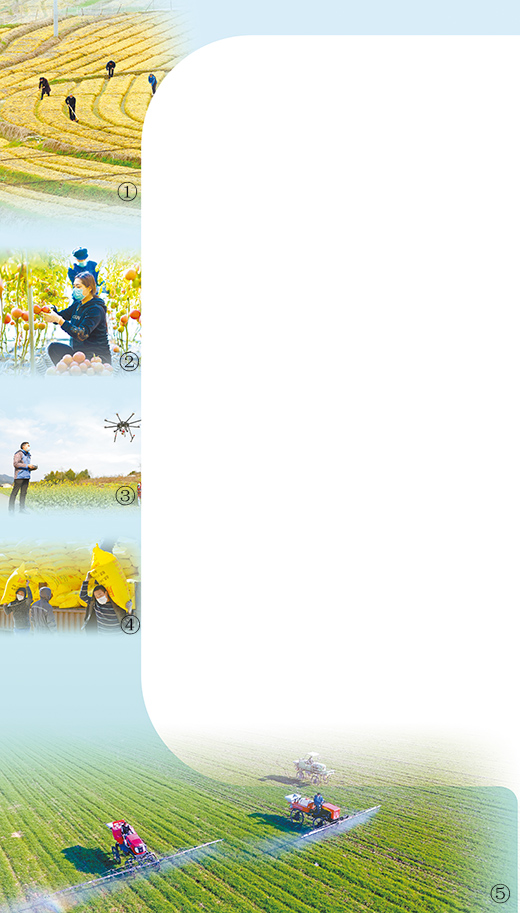 扎实抓好春季农业生产