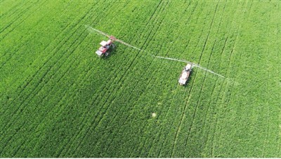 中国生产生活开始有序恢复