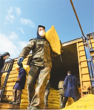 坚定信心迎“大考”：神州大地春耕即景