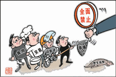 中国立法全面禁食野生动物