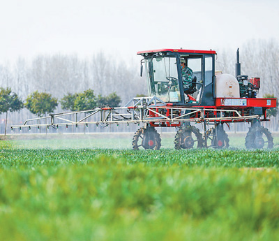 春天到 田间地头忙起来