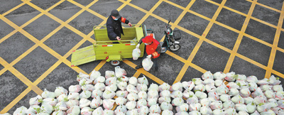 承载满满的希望