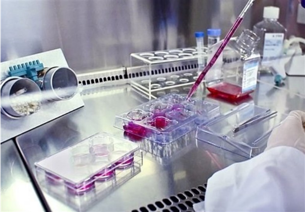 伊朗官员：多家国际非政府组织表示愿帮助伊朗控制疫情