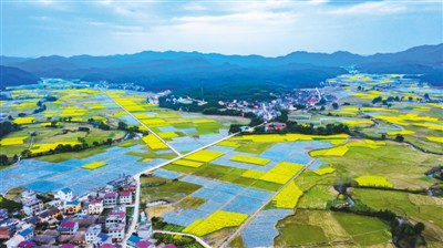 咱与自然和谐共生！