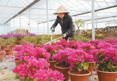 浙江：台企驶上复工复产“快车道”