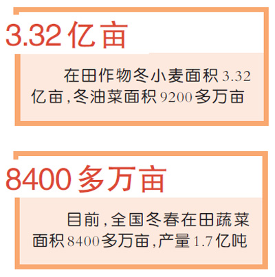 人勤春来早 春耕备耕忙