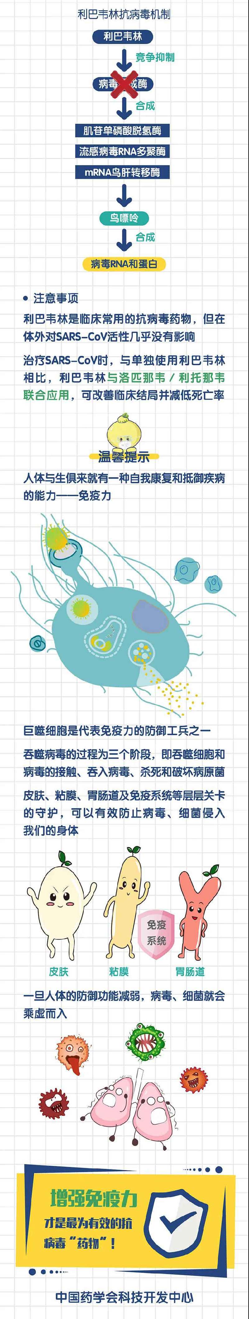 新版诊疗方案推荐药物干扰素、利巴韦林、洛匹那韦/利托那韦如何抗病毒？