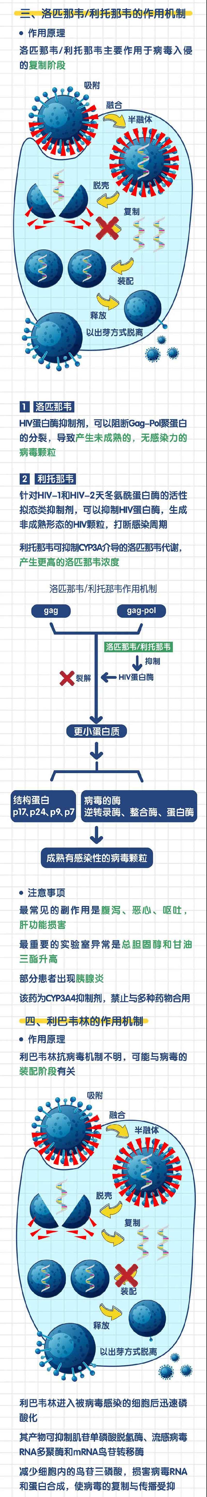 新版诊疗方案推荐药物干扰素、利巴韦林、洛匹那韦/利托那韦如何抗病毒？