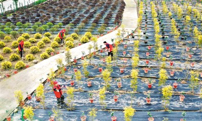 中国必将如期打赢脱贫攻坚战