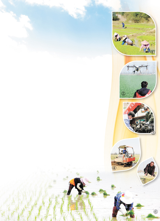 分区按时抓好春耕春管