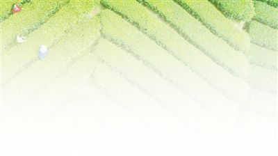 春天里，他们把信心传递