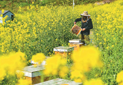 脱贫攻坚，咱不留退路！