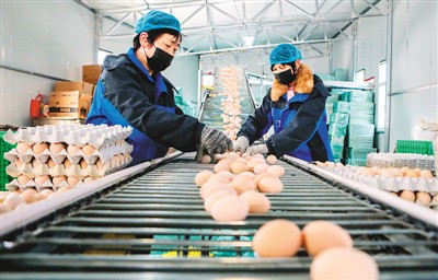 中国经济供需循环愈加畅通