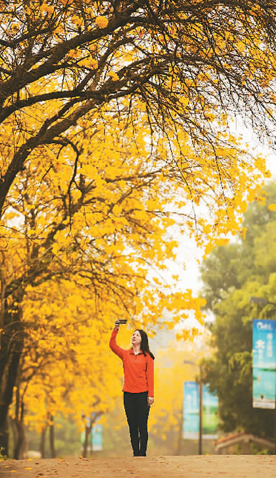 加速振兴国内游