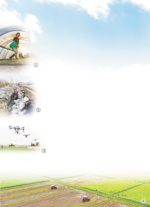 春耕抢农时 田管用科技（统筹抓好改革发展稳定各项工作）