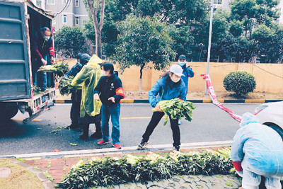 居民健康的“守护神”