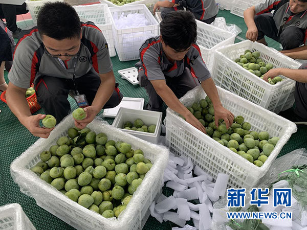 生鲜电商，真“鲜”方能长久