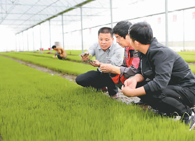 农业丰收打下好基础