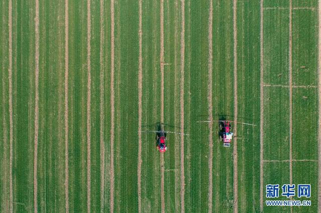 海外网评：中国人的“米袋子”，很稳