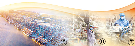 助力复工复产 诠释责任担当（履职故事）