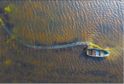 水产丰富 味鲜货足