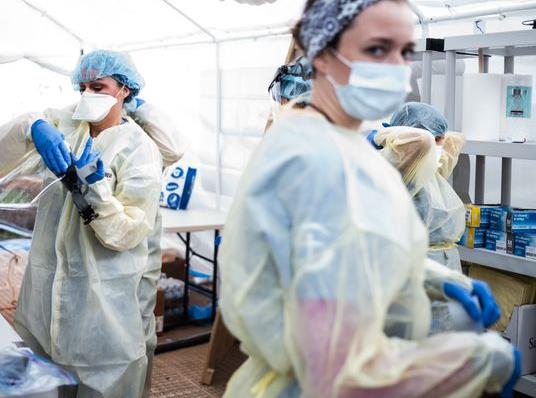 美学者研究：大多数纽约新冠病毒来自欧洲，而非亚洲