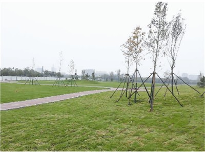 中国文物安全“晒”出年度成绩单